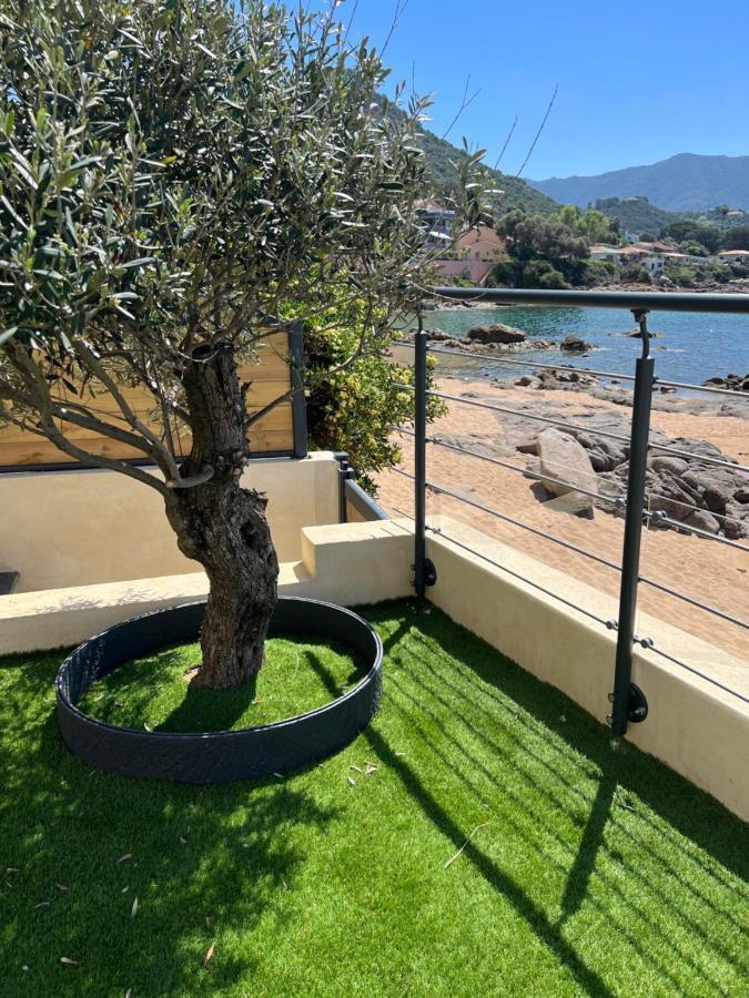 Pieds Dans L'Eau, Tiuccia, Appartement 2-4 Pers Casaglione Εξωτερικό φωτογραφία